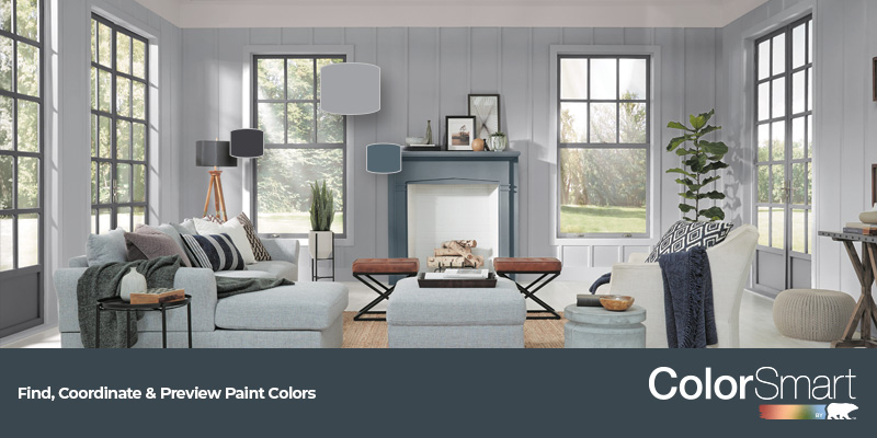 Colorsmart Banner