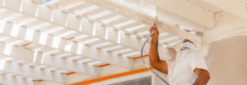 behr paint in action